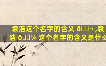 袁浩这个名字的含义 🐬 ,袁浩 🌼 这个名字的含义是什么